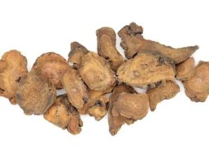 rhubarb root extract