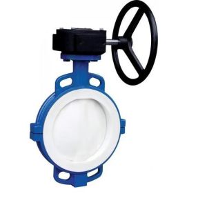 Teflon Lined Butterfly Valve