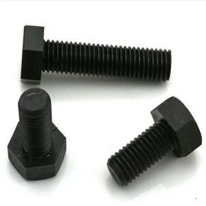 Stainless Steel Hex Bolt