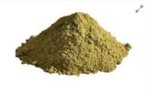 Coriander Leaf powder