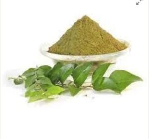 Curry Leaf Powder