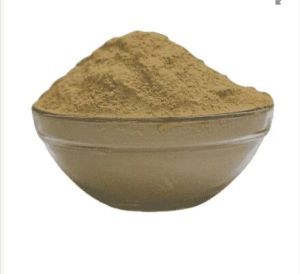 Giloy Powder