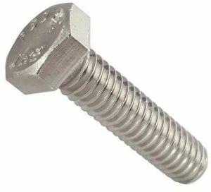 Stainless Steel Hex Bolt