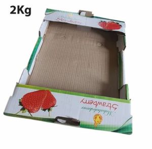 2kg Strawberry Packaging Box