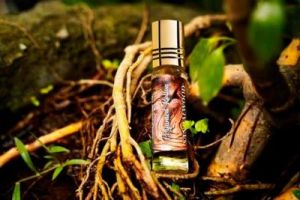 Rollon Sandalwood Attar