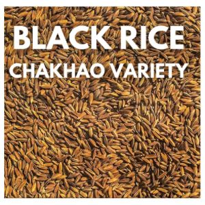 Black Rice Seeds for Sowing