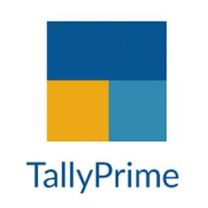 TallyPrime Auditor TSS software services