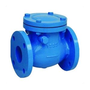 Cast Iron Swing Check Valve