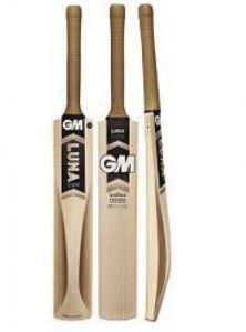 GM Cricket Bat