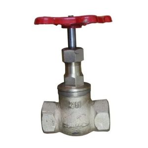 Mild Steel Steam Valve