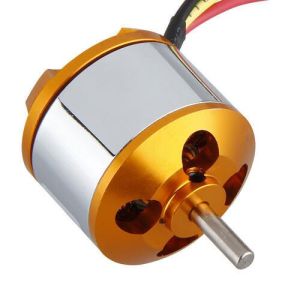 Brushless Motor