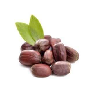 Jojoba Carrier Oil