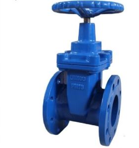 NRS CAST IRON GATE VALVE