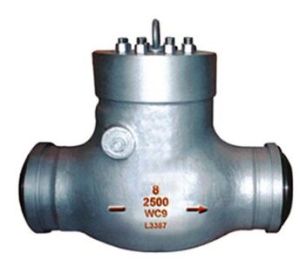 Pressure Seal Swing Check Valve