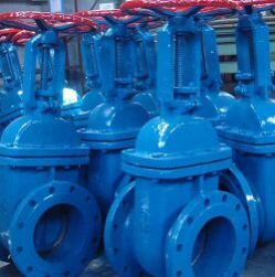 RISING STEM CAST IRON GATE VALVE