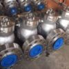 Swing Check Valve