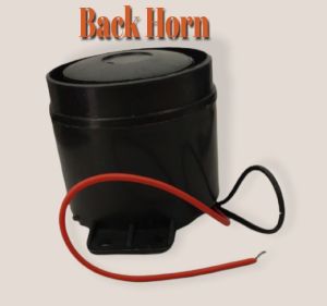 Back Horn