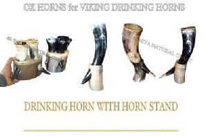 Drinking Horn Mug with Glass