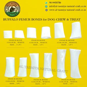 Buffalo Bones