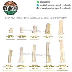 Buffalo Bones