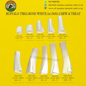 Buffalo Bones
