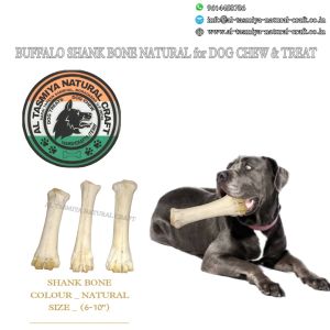 Buffalo Bones