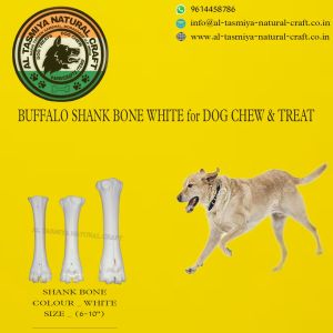 Buffalo Bones
