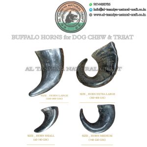 Buffalo Horn