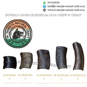 Buffalo Horn