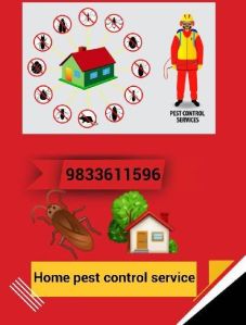 BEDBUGS Pest Control Service