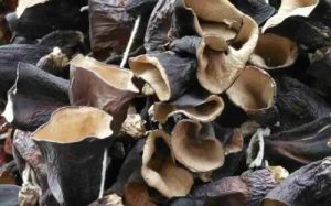 black mushrooms