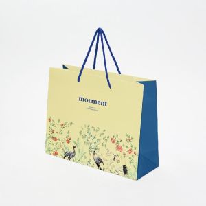 Shooping paper bag ( small size)