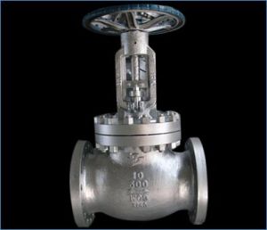 BHEL Globe valve flanged end