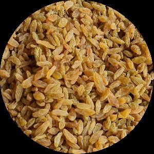 Long Golden Raisins