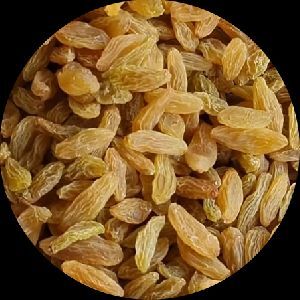 Long Golden Raisins