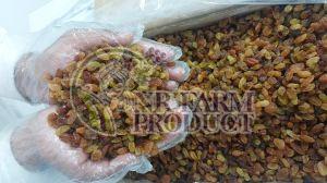 Green Raisins