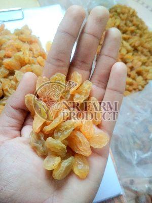 Nashik Golden Raisins