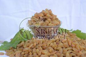 Premium Golden Raisins