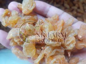 Long Yellow Raisins