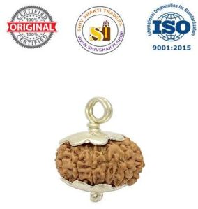 11 Mukhi Rudraksha pendant