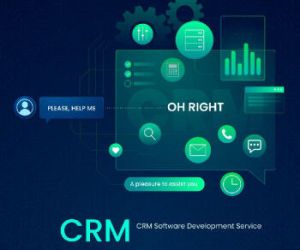 CRM SOFTWARE DEVELOPMENT Service