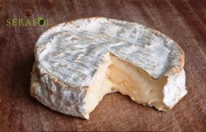 Camembert cheese