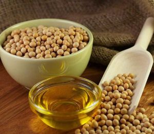 Organic Soybean (NON-GMO, High Protein, 99.9% Purity)