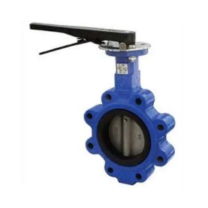 Butterfly Valve