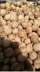 Kashmiri budded walnuts