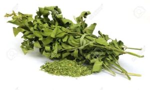 Moringa Dried Leaves