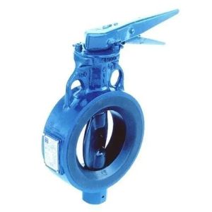 Audco butterfly valve