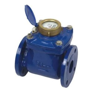 Water Flow Meter