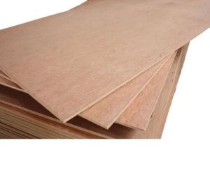 Commercial Plywood