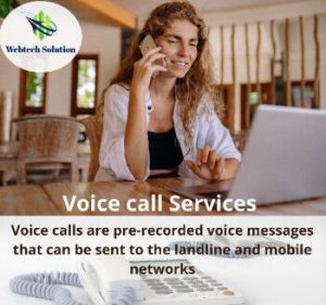 Bulk Voice SMS Services
